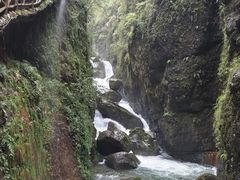 -鹿院坪生态旅游景区