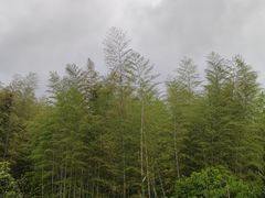 -苏州环秀晓筑养生度假村