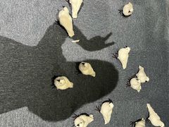 -福田美术馆——新童话主义－周艺文艺术季