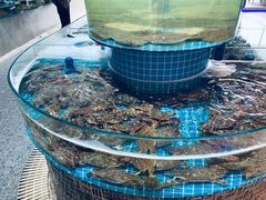 -蓝珊甄选海鲜自助·火锅大排档(近阿那亚店)