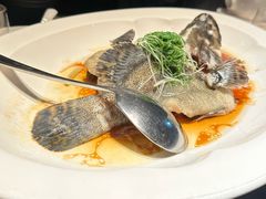 -三利音·东方司宴(外滩店)
