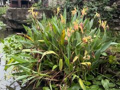 -广州市紫泥堂文化创意园景区