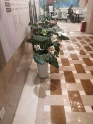 点击看大图 -南京康美美容医院·旗舰店