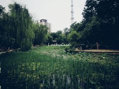 -莲湖公园