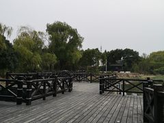 -长广溪湿地公园