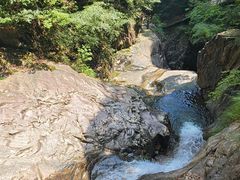 -花岩国家森林公园