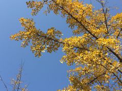 -杭州城北体育公园