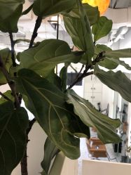 点击看大图 -I+造型烫发染发