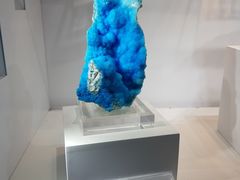-中国地质大学逸夫博物馆