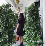 那里花园还有这么安静的地方💐