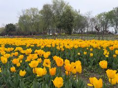 -白塔湖国家湿地公园