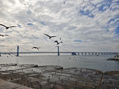 -星海湾跨海大桥