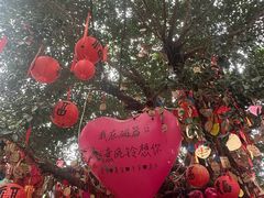 -磁器口古镇