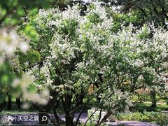 -国家植物园