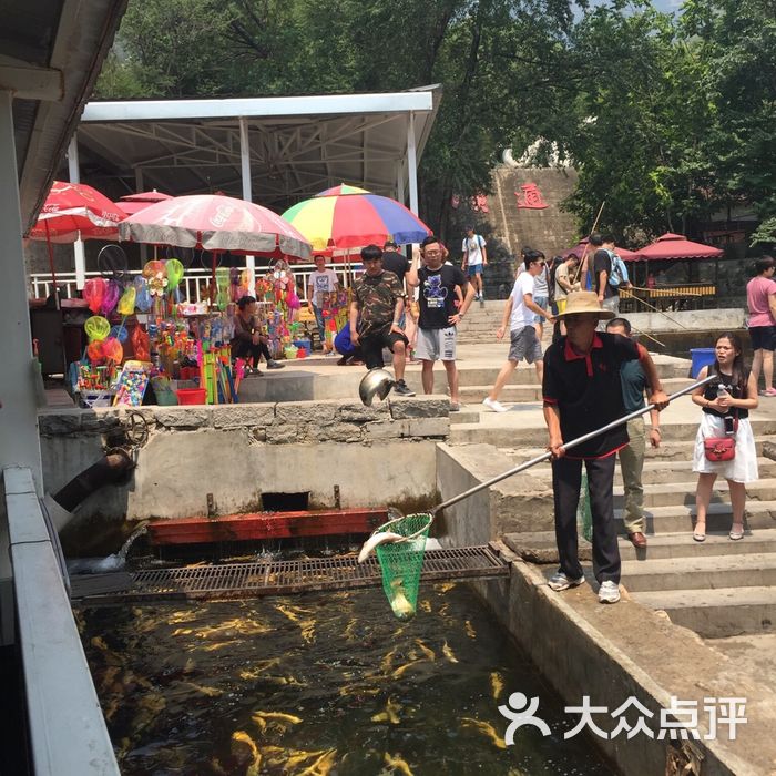 顺通虹鳟鱼养殖中心