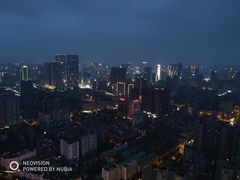 -339旋转餐厅(天府熊猫塔店)