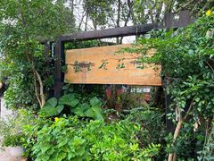 -普洱太阳河森林公园
