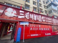 -三毛烤羊腿(乐园路总店)