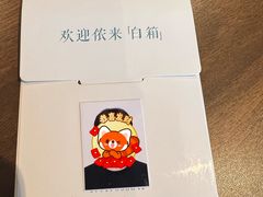 -白箱照相馆·外拍