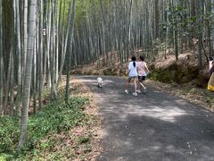 -苏州环秀晓筑养生度假村