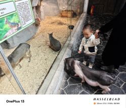 -Zoolung Zoolung动物主题公园(海信广场店)