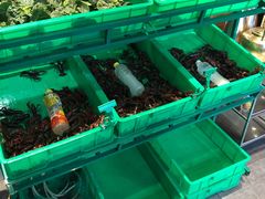 -昌盛德徐州老菜馆