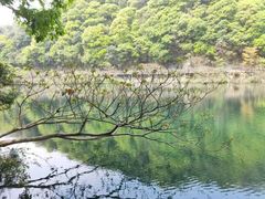 -宁海森林温泉