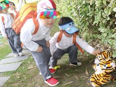 -上海青草地幼儿园