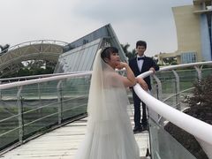 -百万葵园