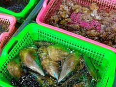 -众味海鲜大排档·活海鲜·潮汕味(南澳店)