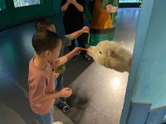 -常州海昌海洋探索馆