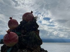 -小普陀