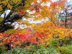 -常寂光寺
