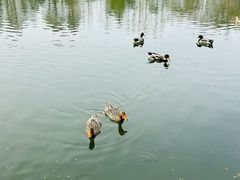 -上海怡沁园度假酒店