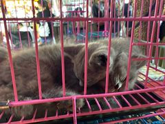 -中北世纪城夜市小吃街CENURY CITY