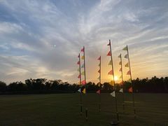 -春花秋色城市公园