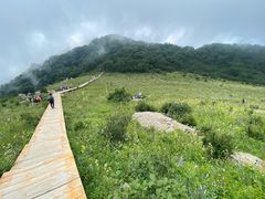 -白草畔自然风景区