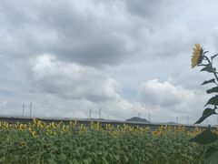 -光明小镇欢乐田园