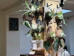 -本無咖啡·BeanWood Coffee