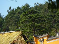 -石台牯牛降景区