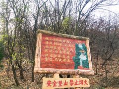 -金龙寺国家森林公园