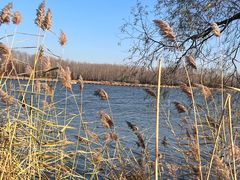 -野鸭湖国家湿地公园