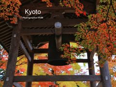 -常寂光寺