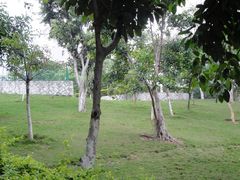 DSC04144-古榕公园