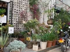 -六出私塾LiuChu•成人美术书法系统课程专业画室(熊婆婆的花园店)