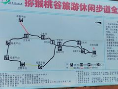 -大岭沟猕猴桃谷风景区