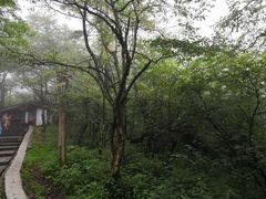 -峨眉山报国寺