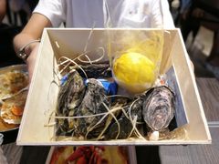 新西兰生蚝-盒马鲜生(曜一城店)