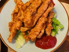 辣鸡条-萨尔瓦多Salvador's