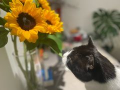 -亭亭鲜花店(中山北路店)